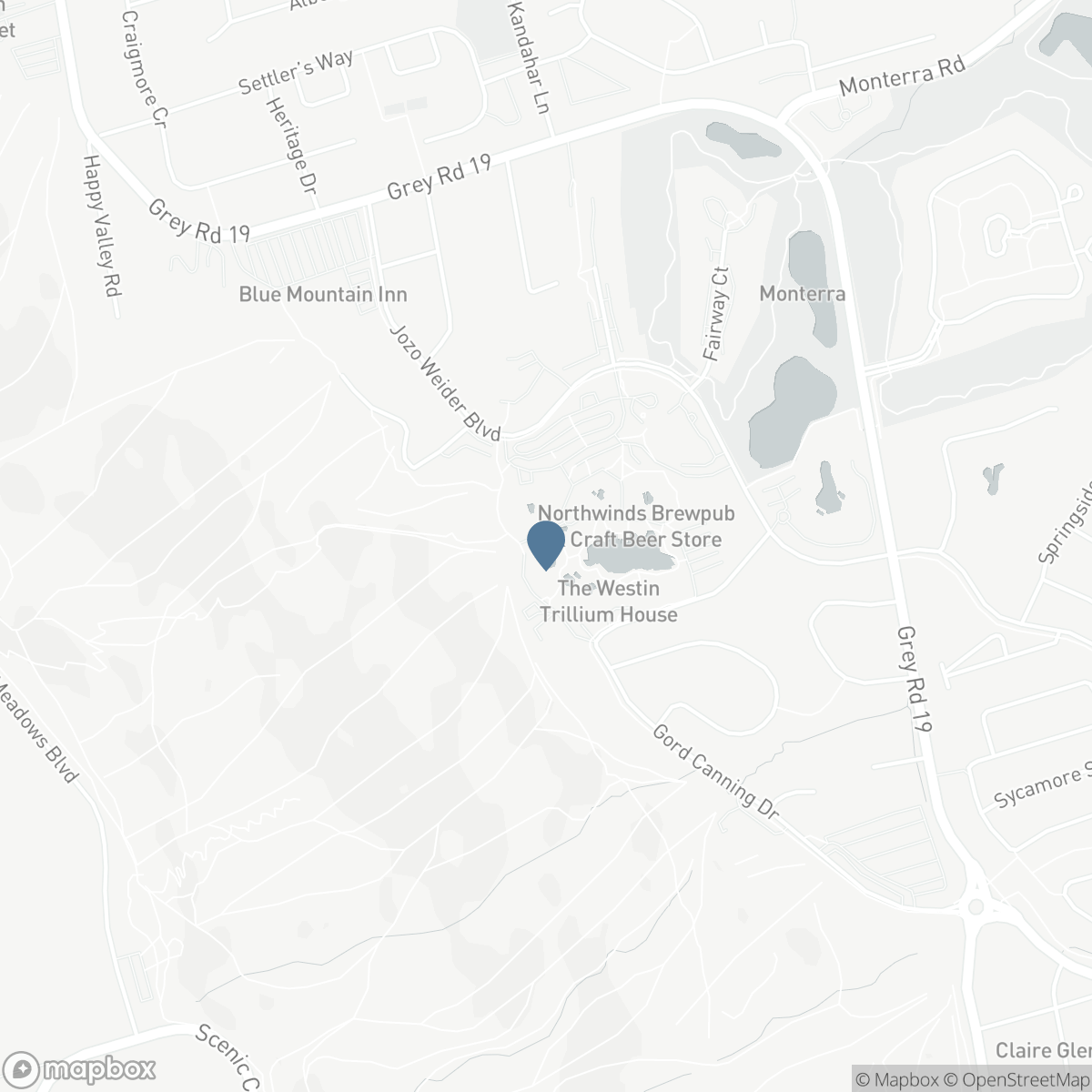319 321 - 152 JOZO WEIDER BOULEVARD, The Blue Mountains, Ontario L9Y 0V2